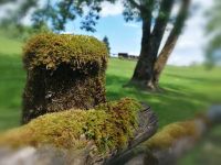 DP World Tour Gut Altentann Vorbereitungen (c) maic Bild 9.jpg