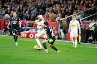 Fernando (c)maic.jpg