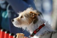 Kitzbuehel 2020 Impressionen 5 (c) Maier .jpg