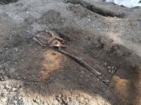 Spitalsfriedhof SALK Impressionen 5 (c) maic.jpg