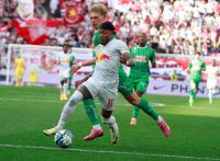 Fernando (c) maic.jpg