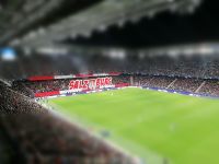 Salzburg in der Champions League (c) maic.jpg