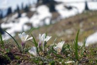 Sommer auf der Streif (c) Maier.JPG