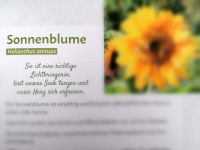 Kraeuterbuch Impressionen 3 (c) maic .jpg