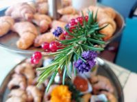 Gastro Talente gesucht (c) maic Bild 6.jpeg